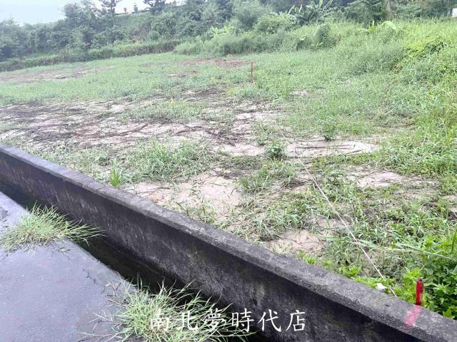 新化農地-4