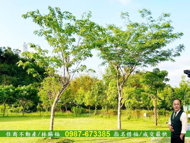 台南農地-13