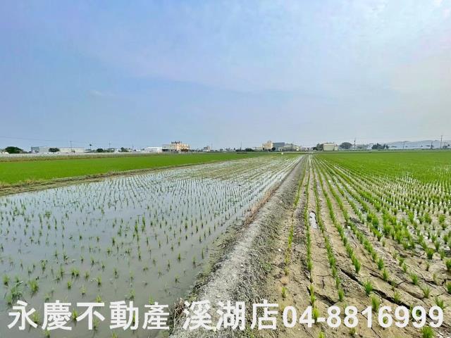 彰化埔鹽農地-14