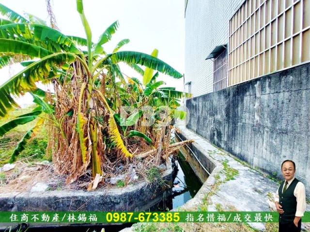 台南農地-7
