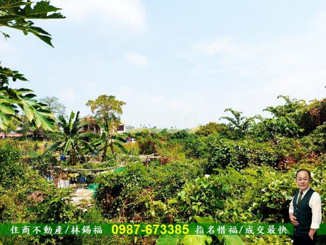 台南農地-8