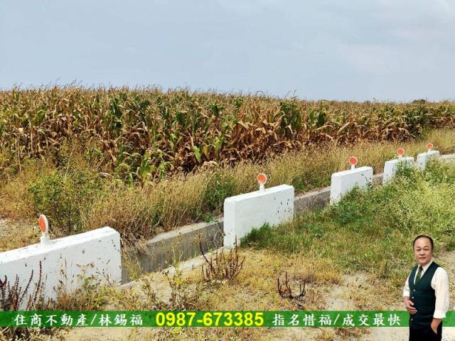 台南農地-1
