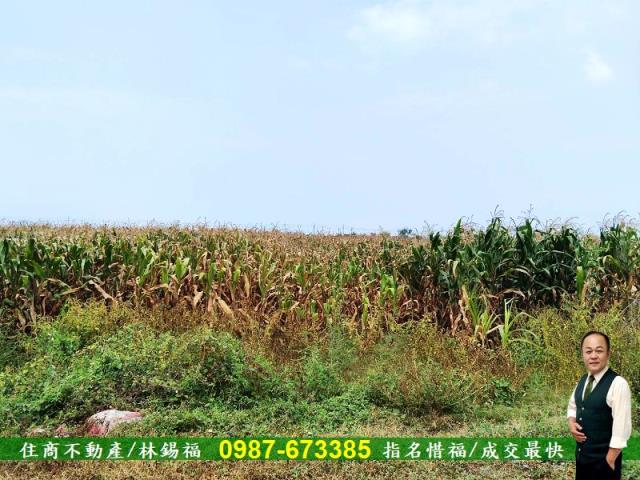 台南農地-3