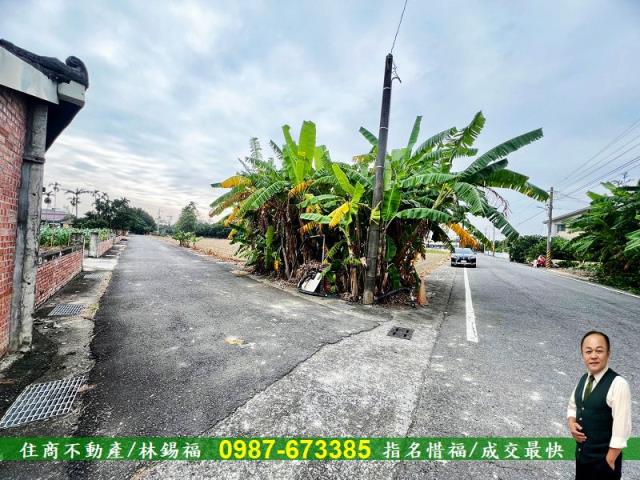 台南農地-10