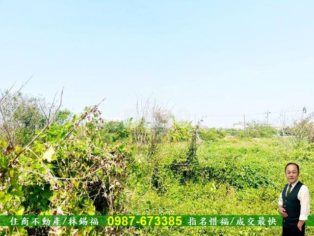 台南安定農地-14