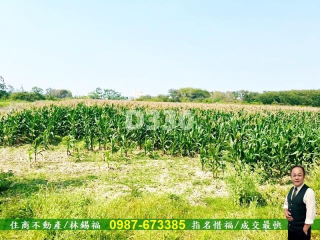 台南安定農地-15