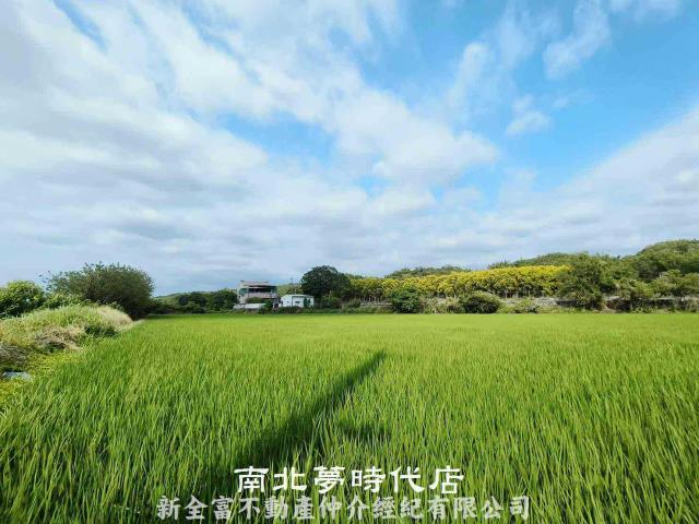 台南六甲農地-3