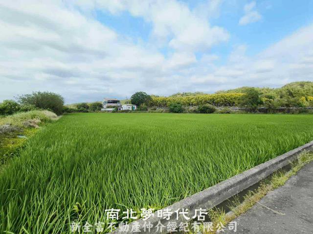 台南六甲農地-4