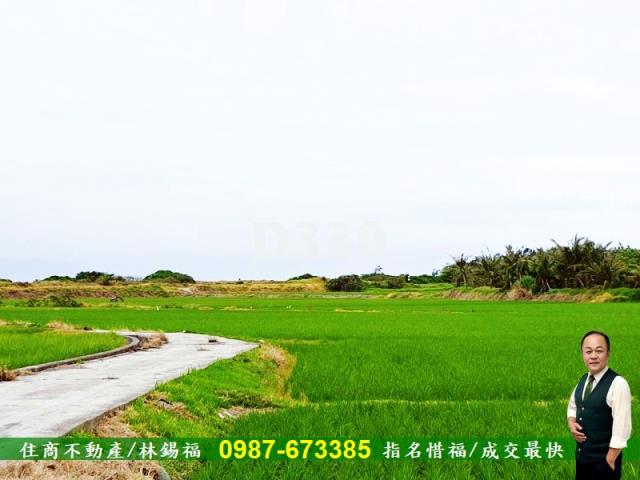 台東市農地-14