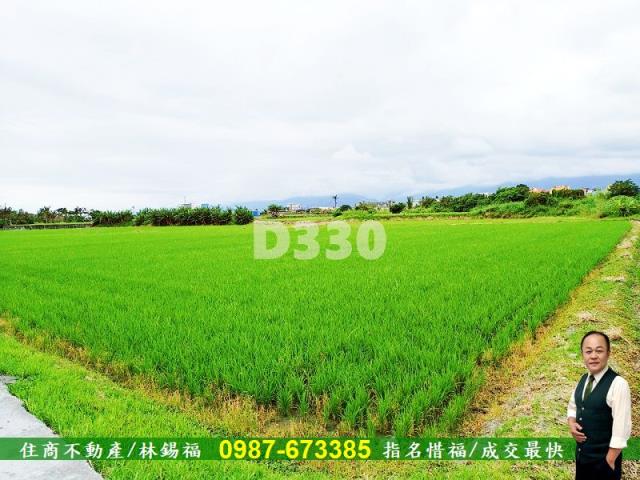 台東市農地-2