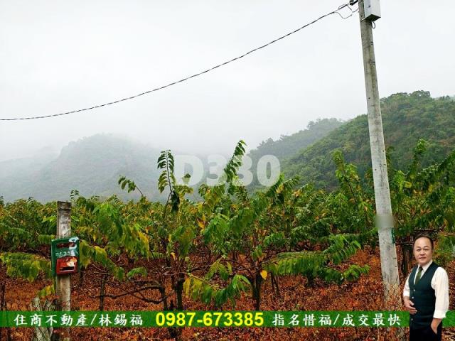 卑南農地-1