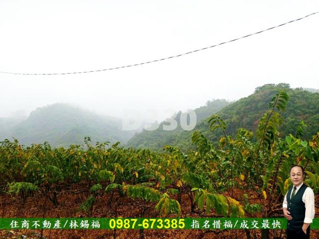 卑南農地-6