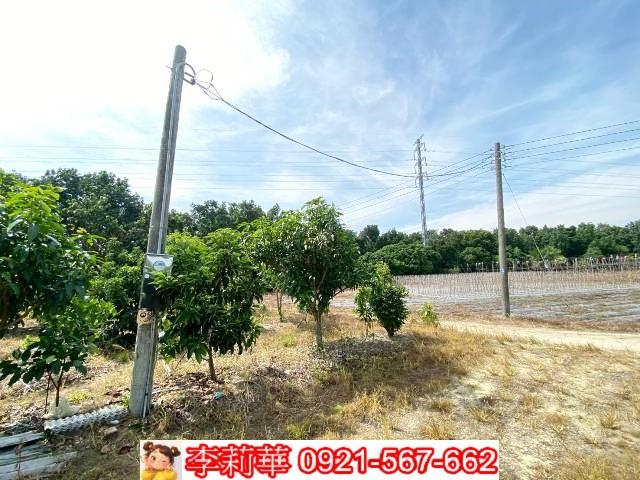 官田農地-11