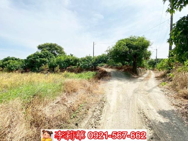 官田農地-5