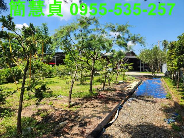 名間農地-9