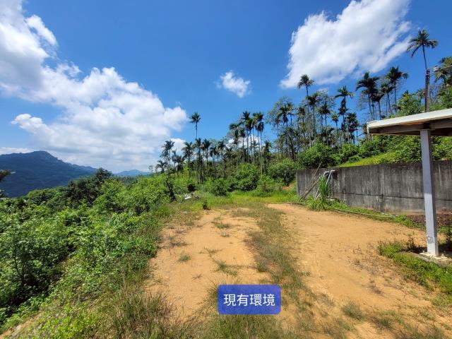 南投國姓農地-2