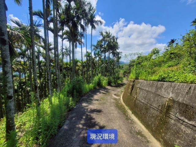 南投國姓農地-4