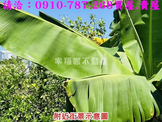 台南下營建地-15