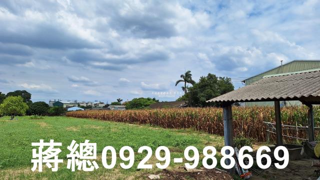 台南新市農地-5