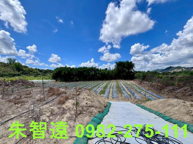 玉井農地-11