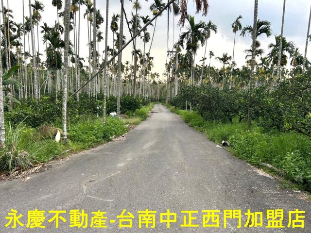白河農地-1