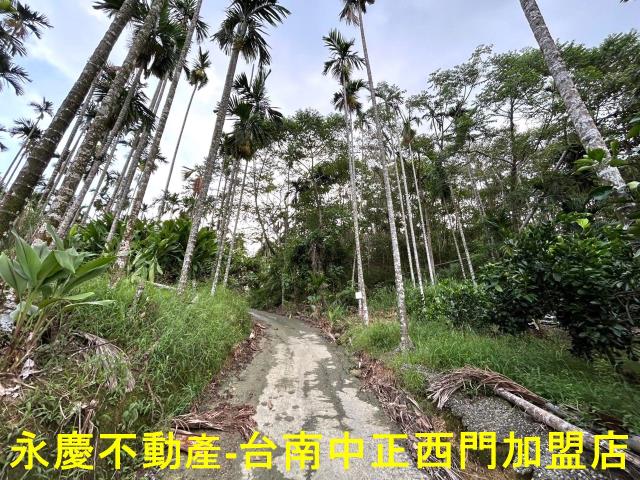 白河農地-5