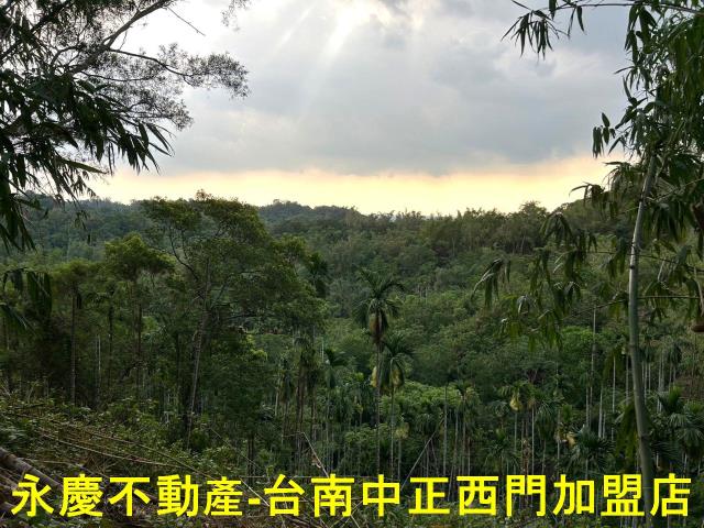 白河農地-6