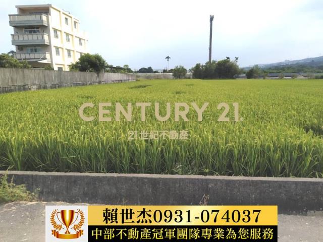 南投農地-8