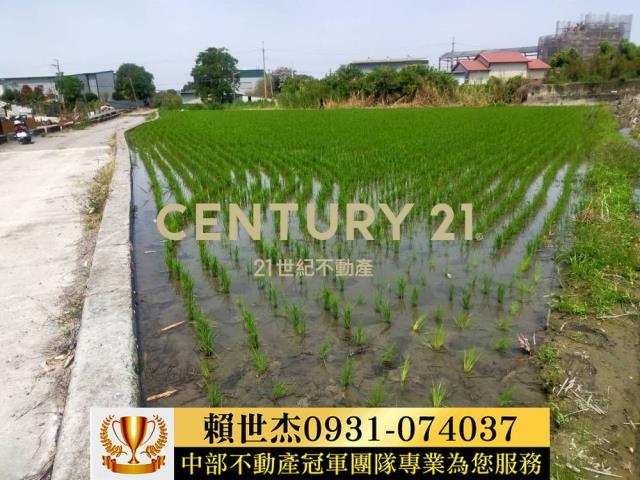 南投農地-11