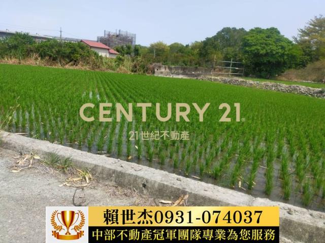 南投農地-12