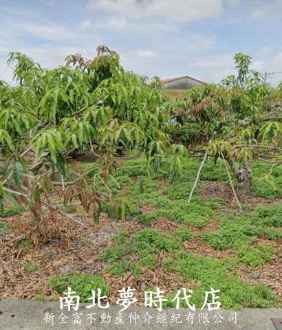 楠西建地-5