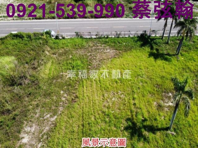 台南麻豆工業地-6