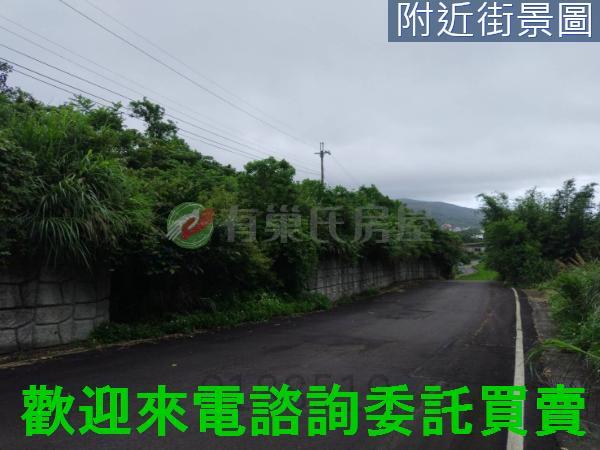 金山農地-5