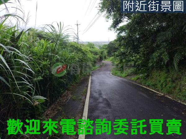 金山農地-6