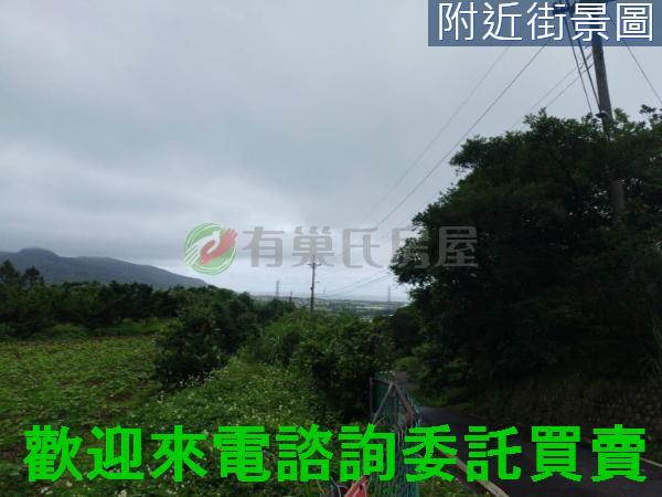 金山農地-8