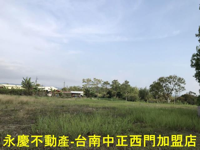 左鎮農地-4