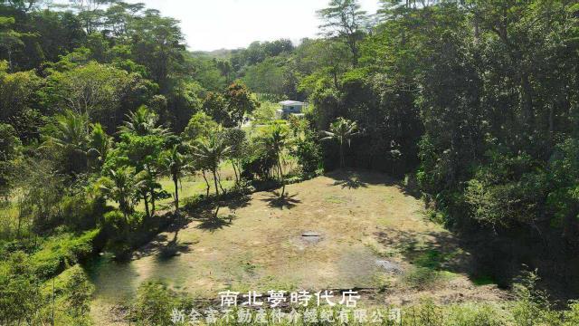 台南新化農地-1