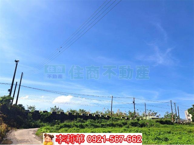 柳營農地-6