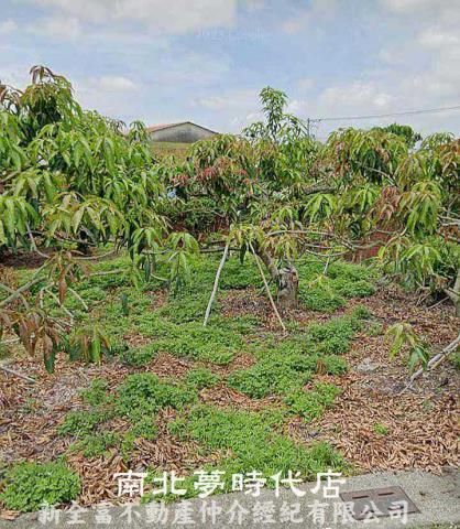 楠西建地-1