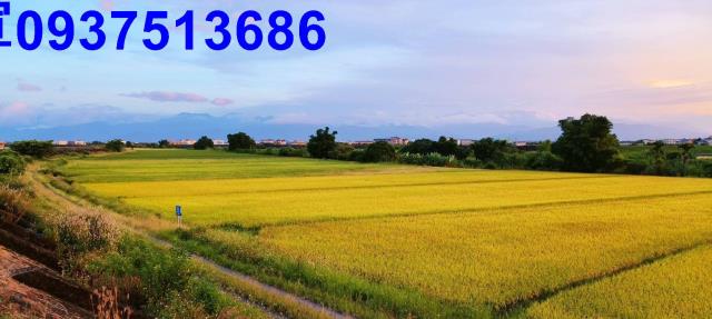 宜蘭壯圍農地-2