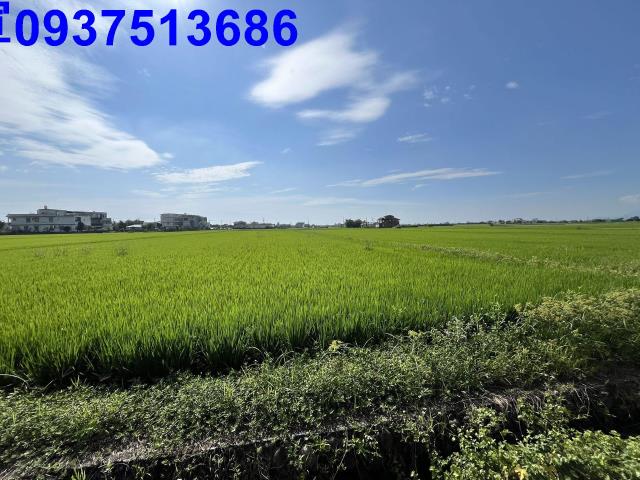 宜蘭壯圍農地-15