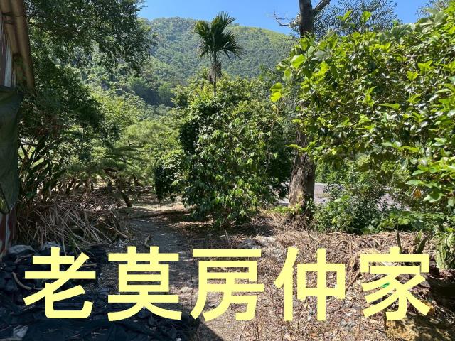 南投仁愛鄉農地-1