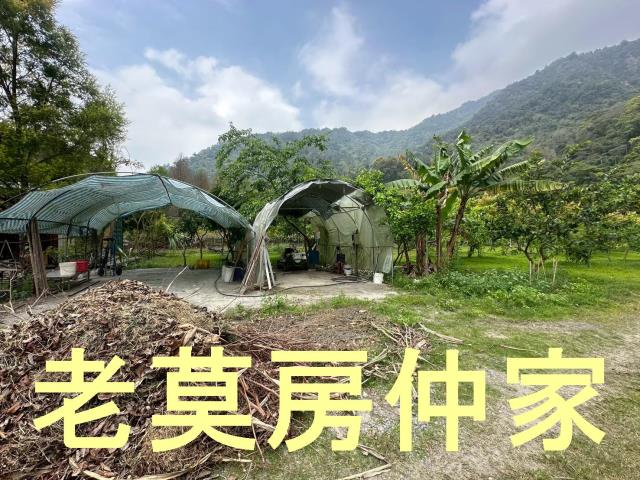 南投水里農地-10