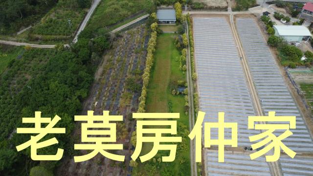 南投水里農地-14