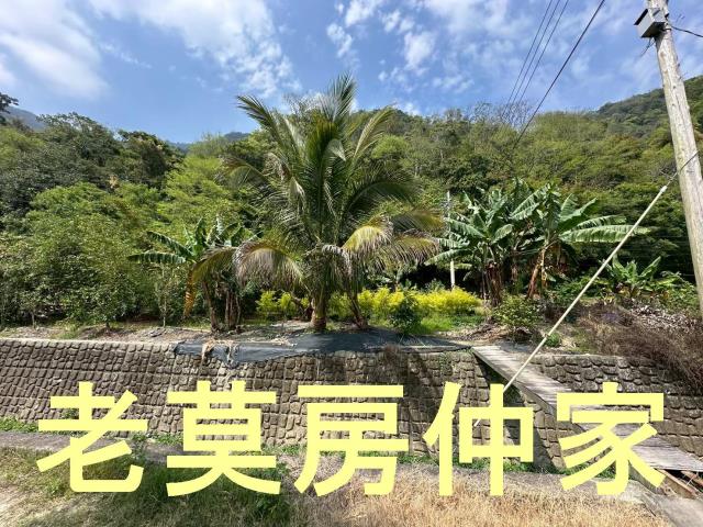 南投水里農地-1
