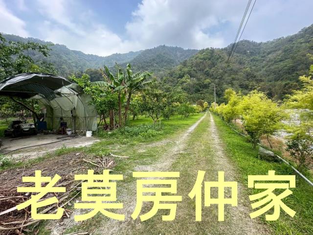 南投水里農地-9