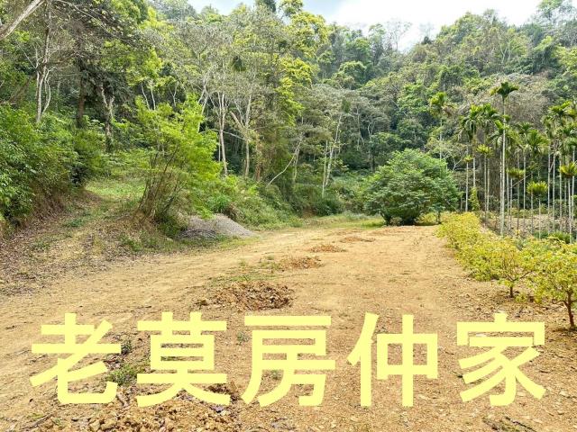 魚池農地-4