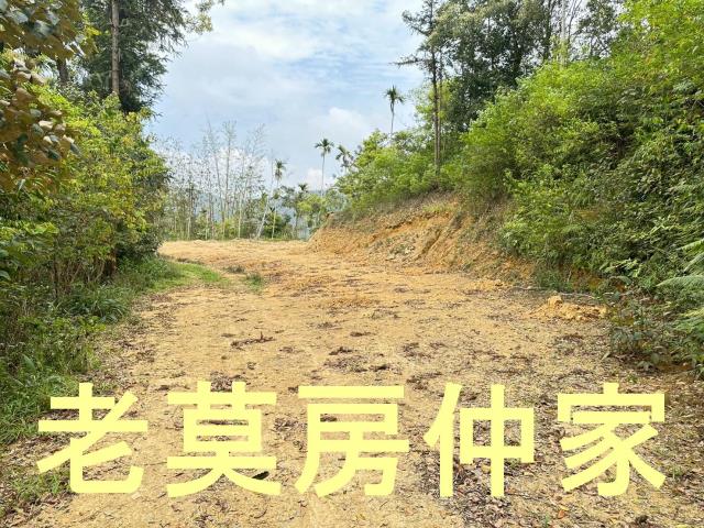 魚池農地-5