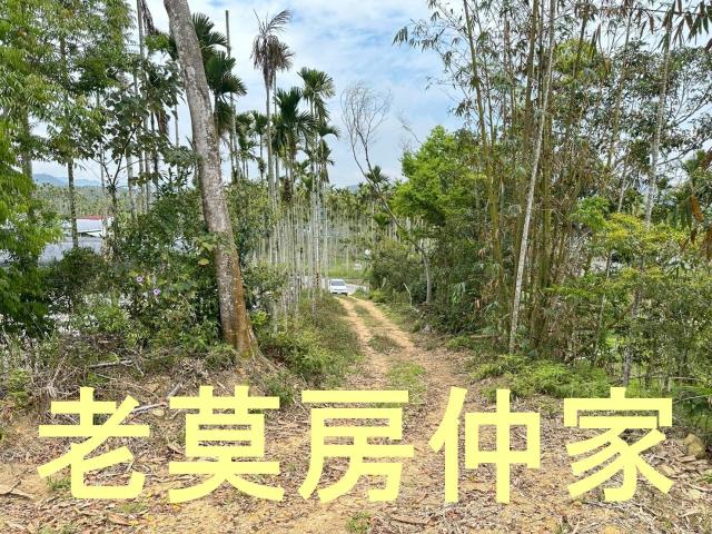 魚池農地-7