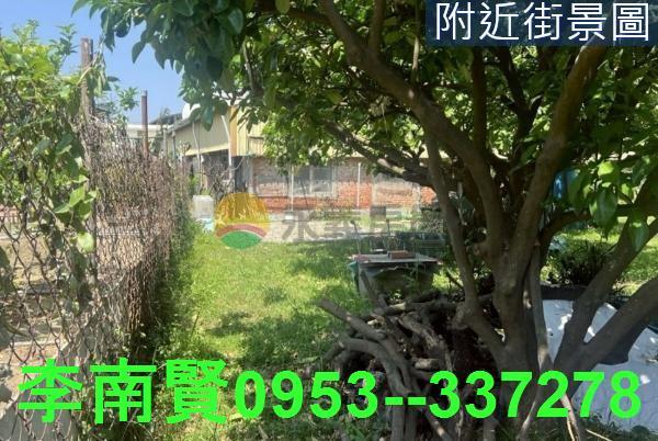 麻豆農建地-4